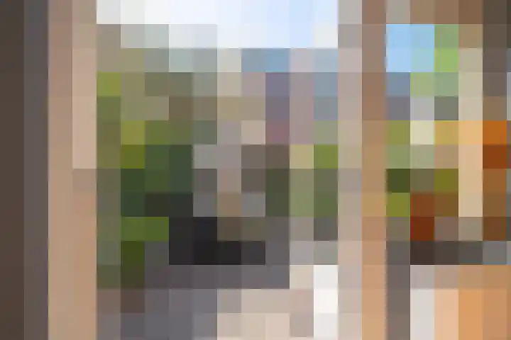 Bachkade 18 Groningen thumbnail 22