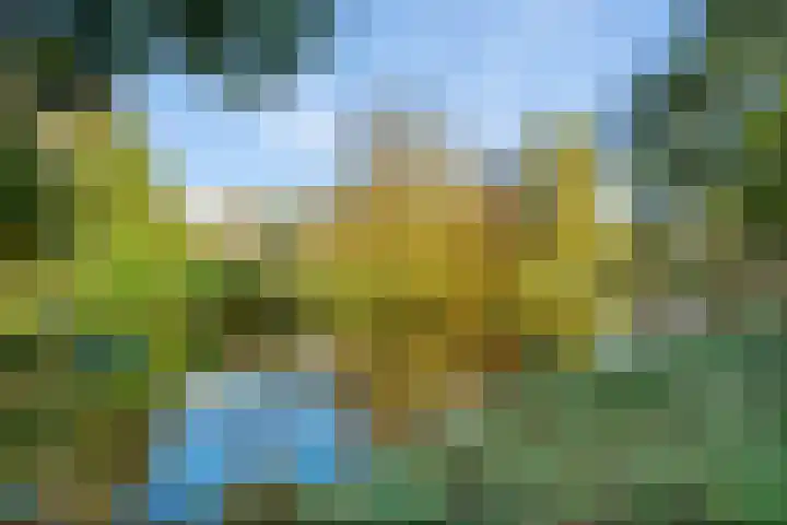 Bachkade 18 Groningen thumbnail 4