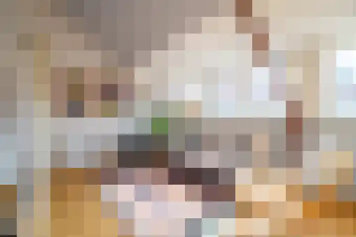 Bachkade 18 Groningen thumbnail 47