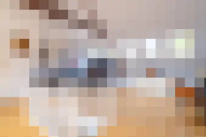 Bachkade 18 Groningen thumbnail 49