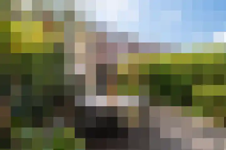 Bachkade 18 Groningen thumbnail 55