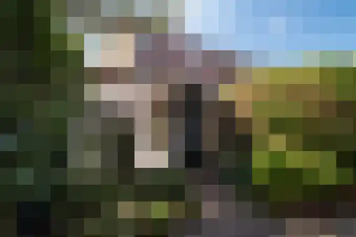 Bachkade 18 Groningen thumbnail 56