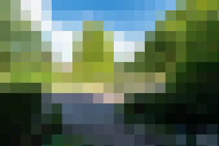 Bachkade 18 Groningen thumbnail 59