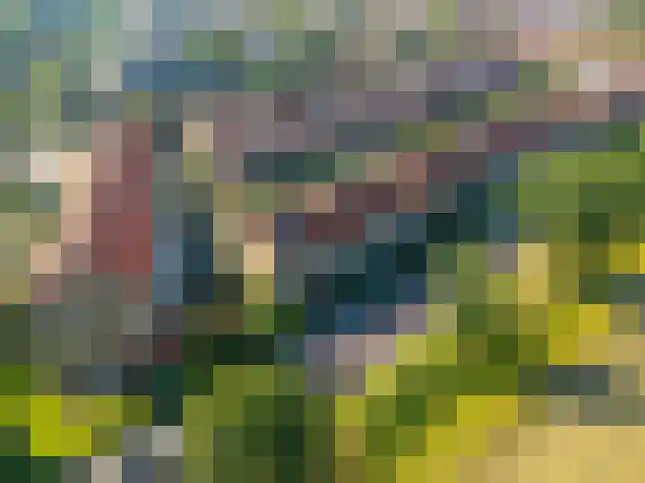 Bachkade 18 Groningen thumbnail 62