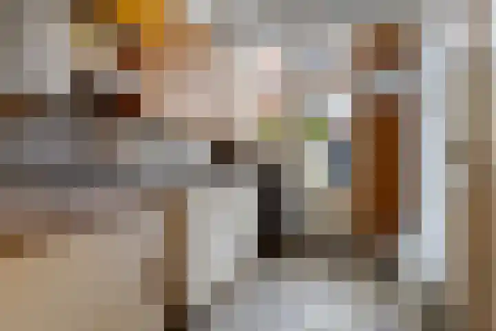 Bachkade 4 Groningen thumbnail 13