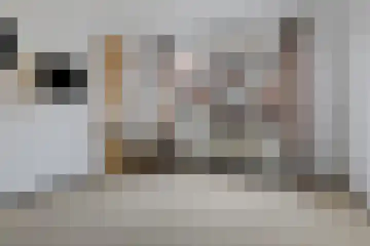 Bachkade 4 Groningen thumbnail 20
