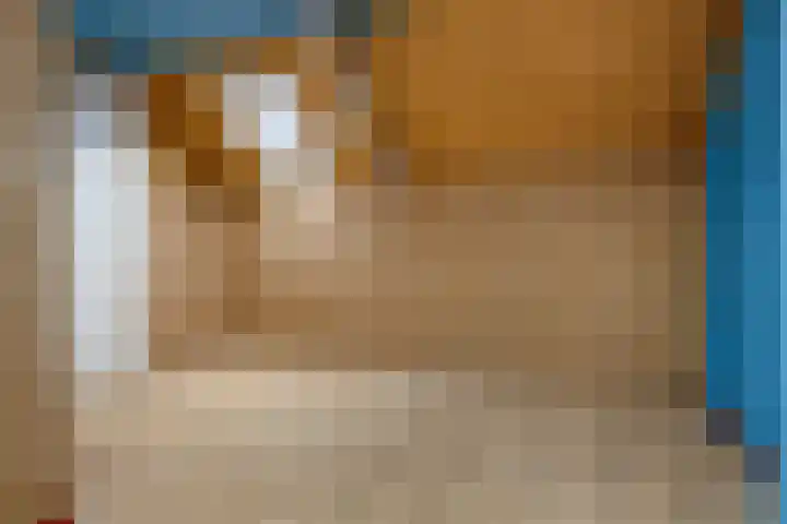 Bachkade 4 Groningen thumbnail 33