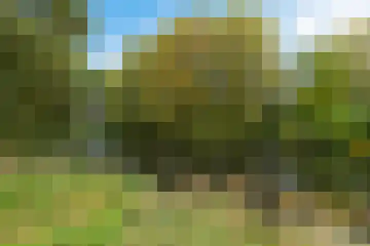 Bachkade 4 Groningen thumbnail 37