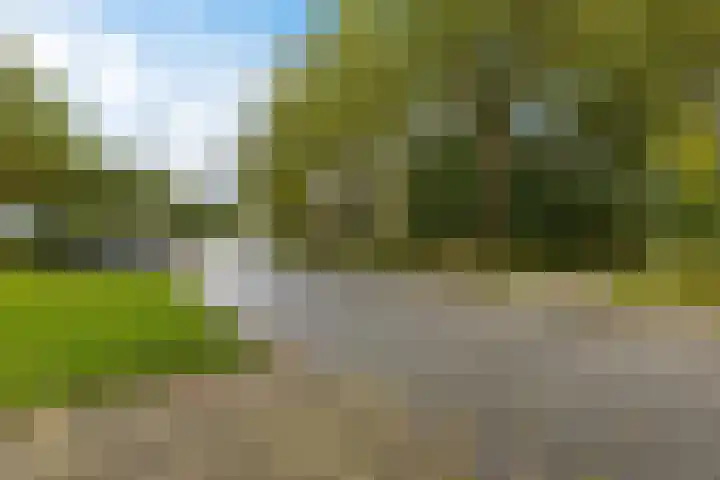 Bachkade 4 Groningen thumbnail 38