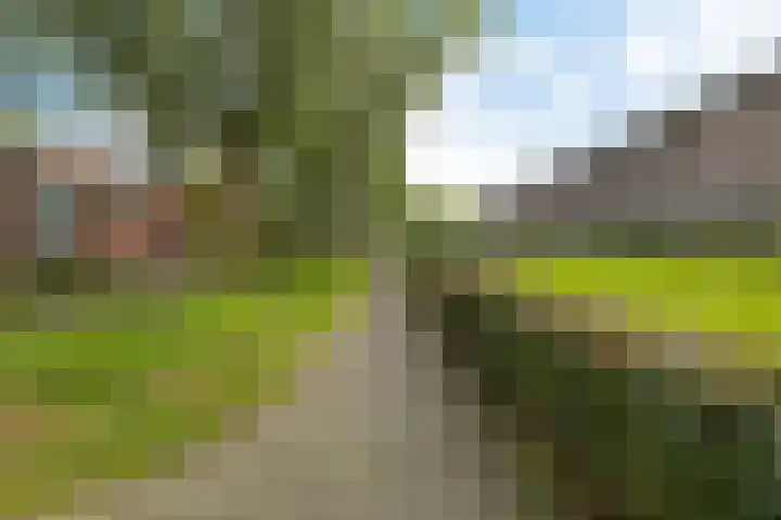 Bachkade 4 Groningen thumbnail 39