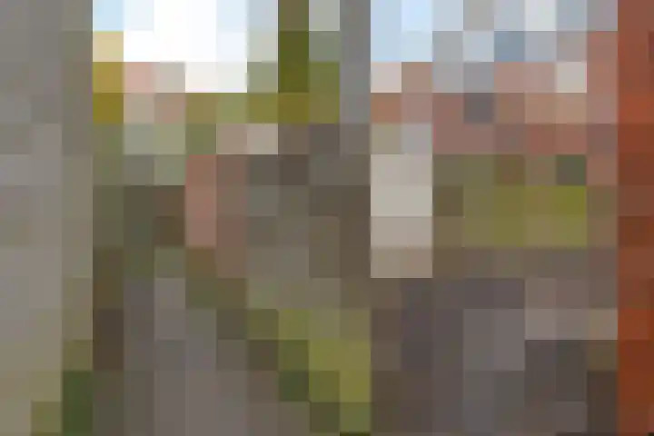 Bachkade 4 Groningen thumbnail 45