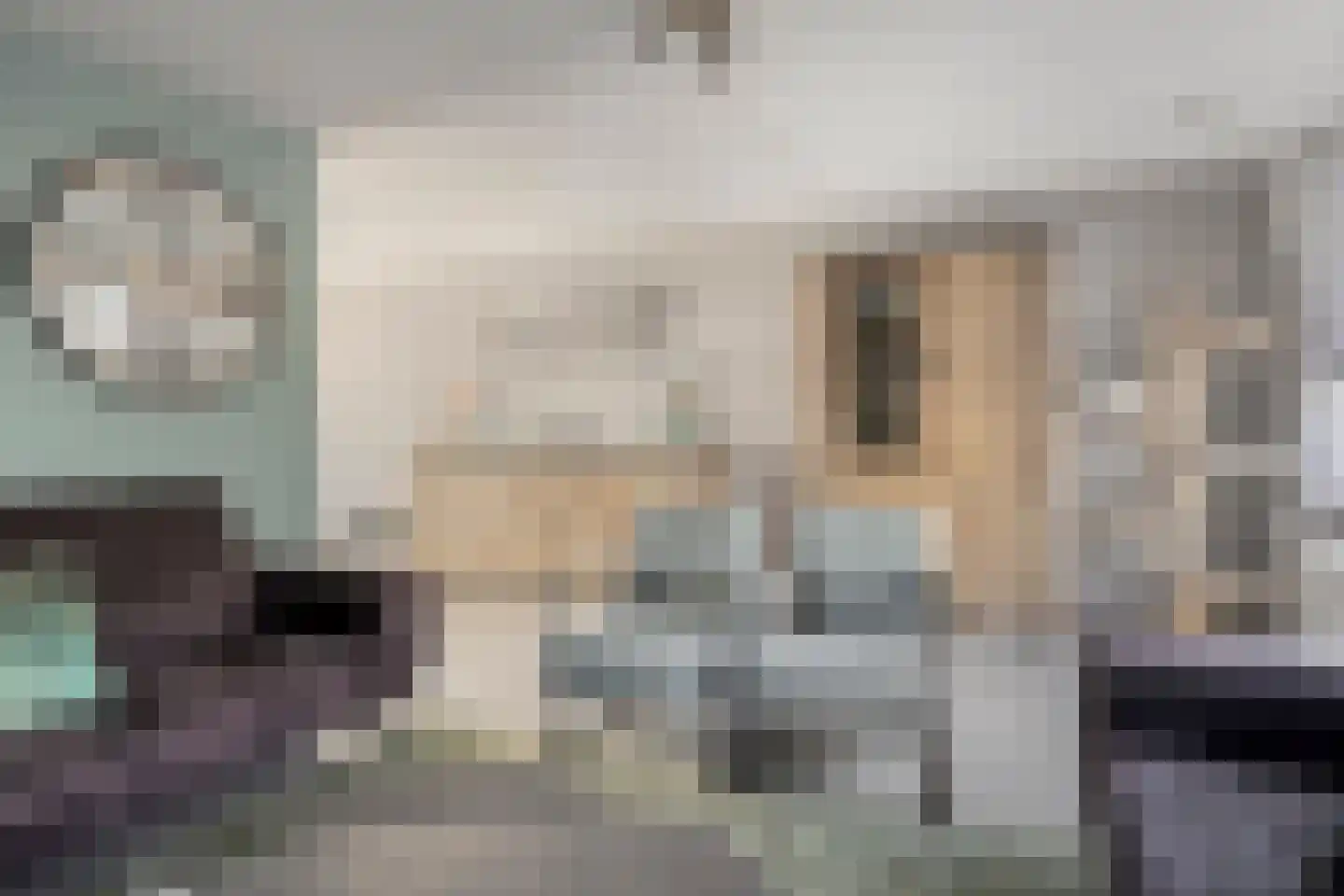 Bachlaan 1 Hulst thumbnail 10