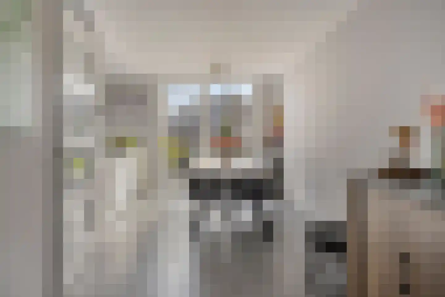 Bachlaan 1 Hulst thumbnail 11