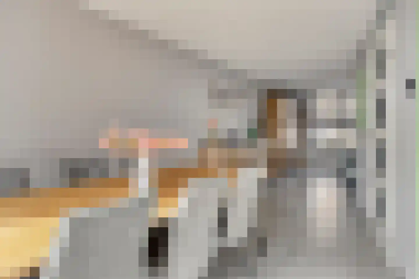 Bachlaan 1 Hulst thumbnail 13