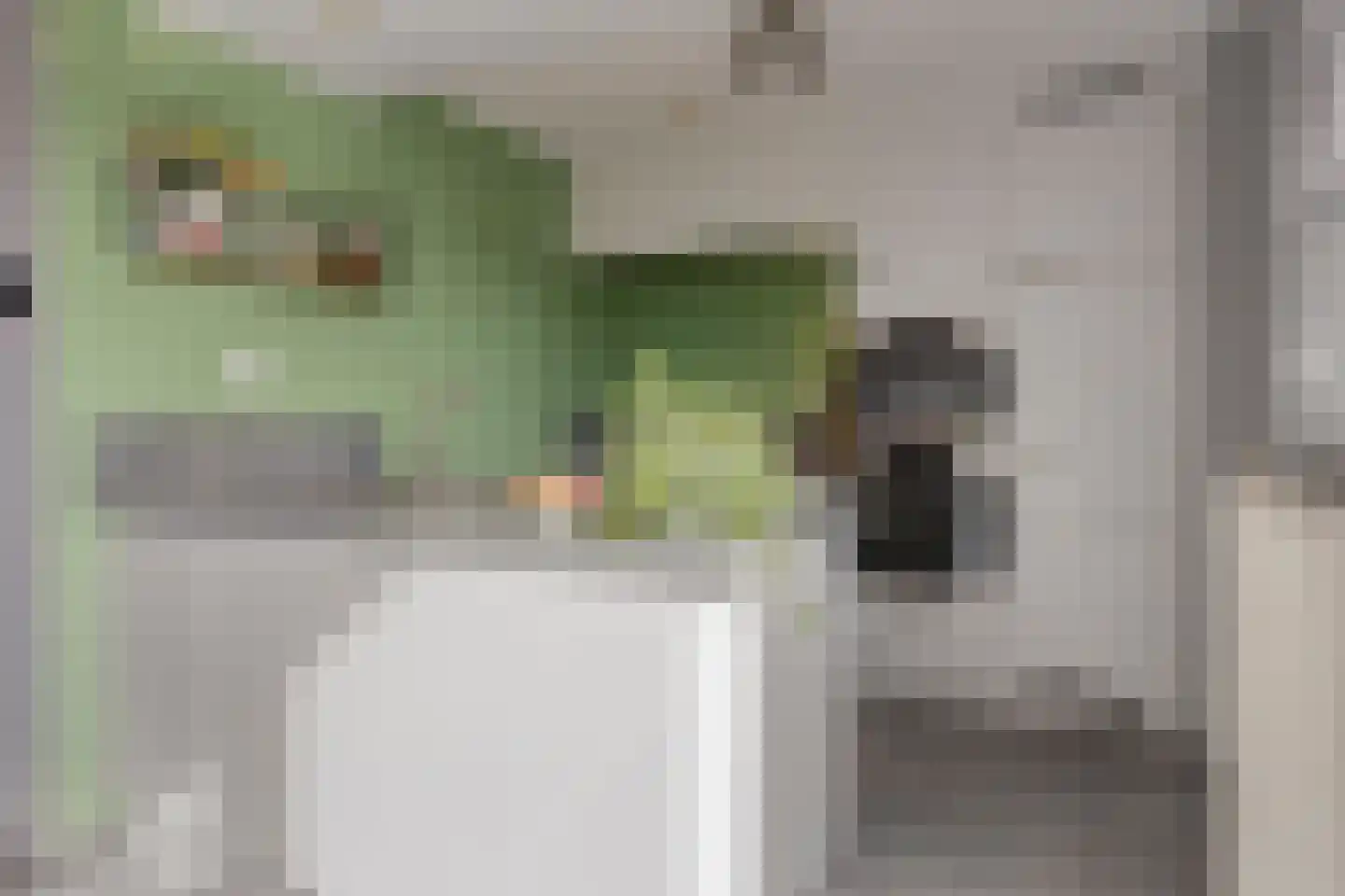 Bachlaan 1 Hulst thumbnail 15