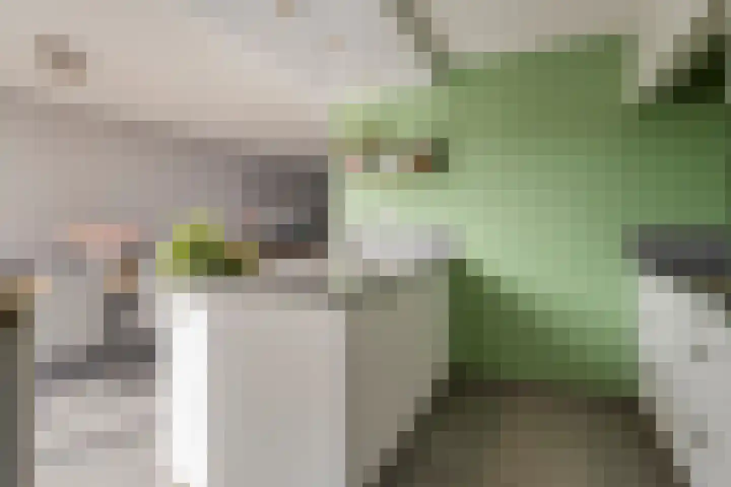 Bachlaan 1 Hulst thumbnail 16