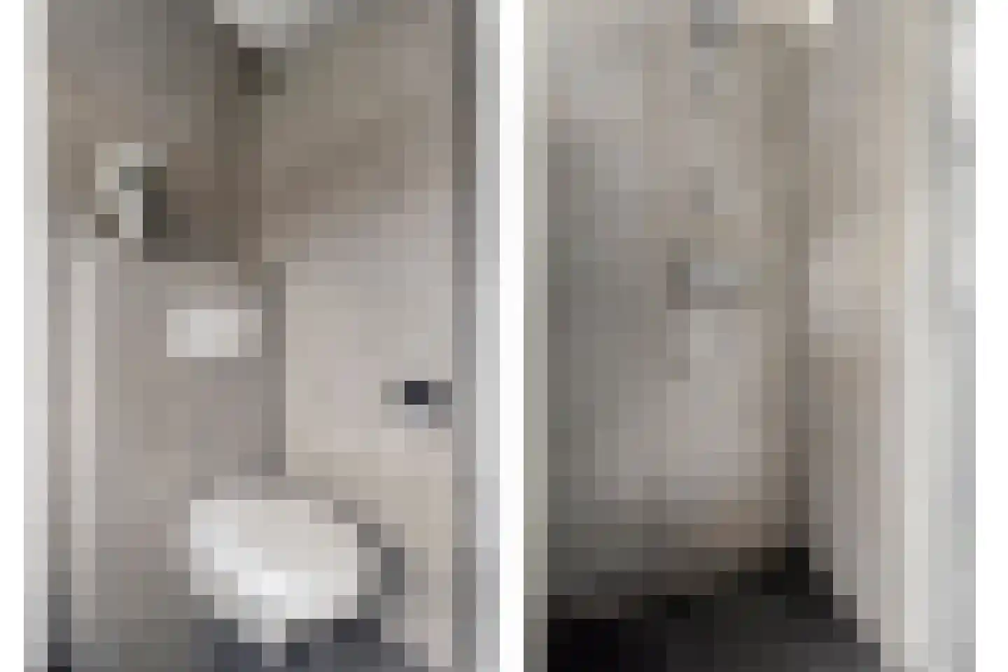 Bachlaan 1 Hulst thumbnail 27