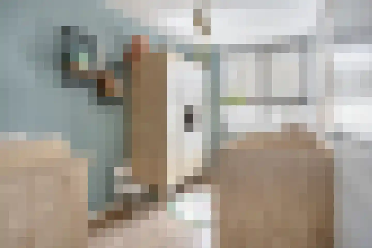 Bachlaan 1 Hulst thumbnail 28