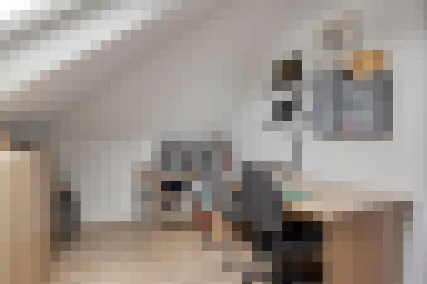 Bachlaan 1 Hulst thumbnail 33