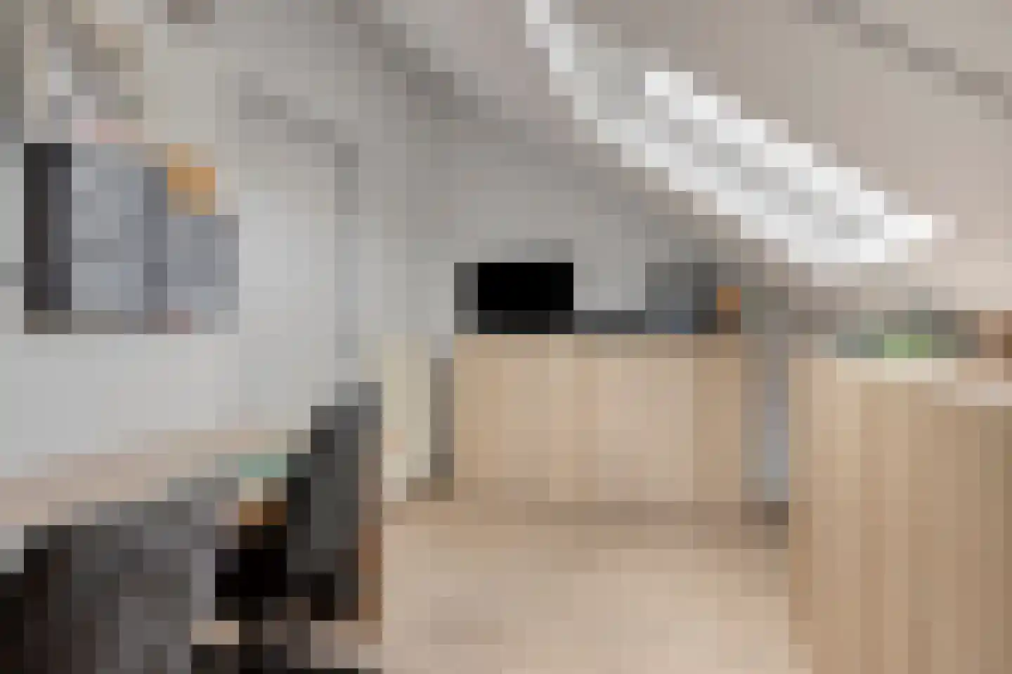 Bachlaan 1 Hulst thumbnail 34