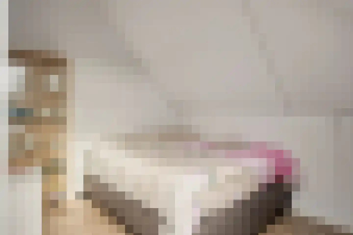 Bachlaan 1 Hulst thumbnail 35
