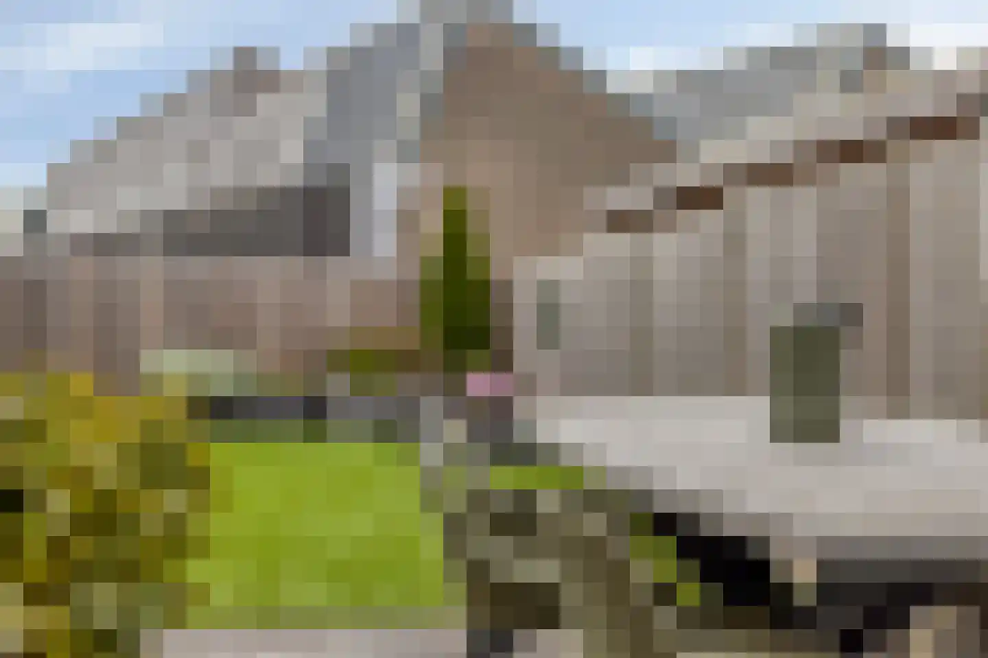 Bachlaan 1 Hulst thumbnail 38
