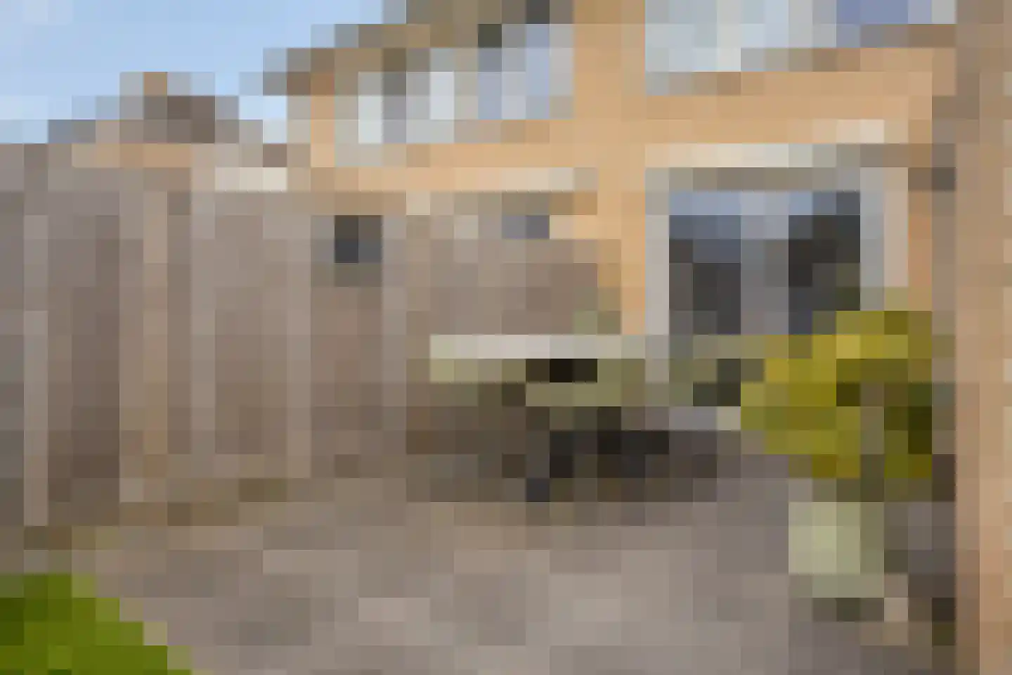 Bachlaan 1 Hulst thumbnail 39
