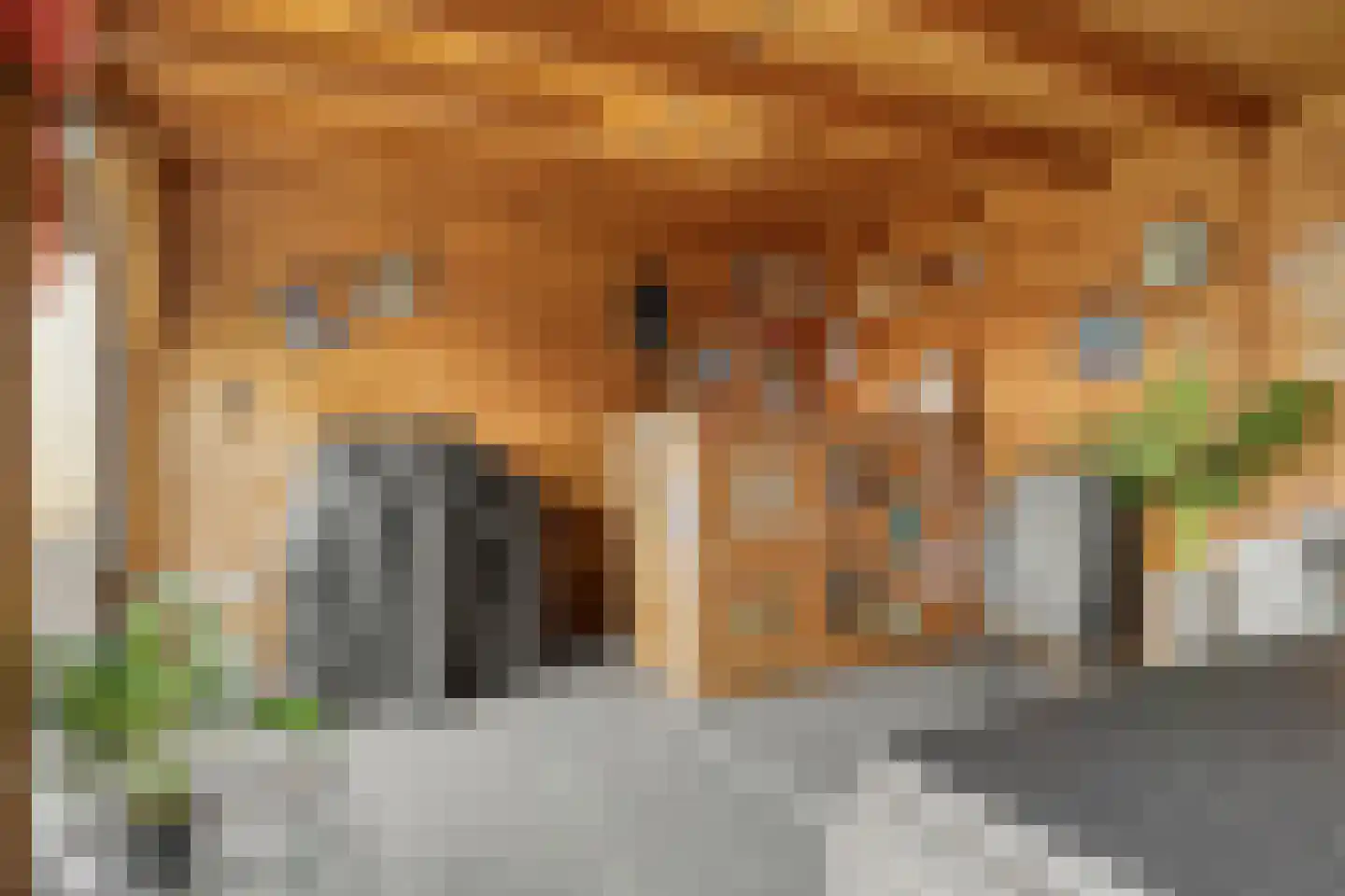Bachlaan 1 Hulst thumbnail 42