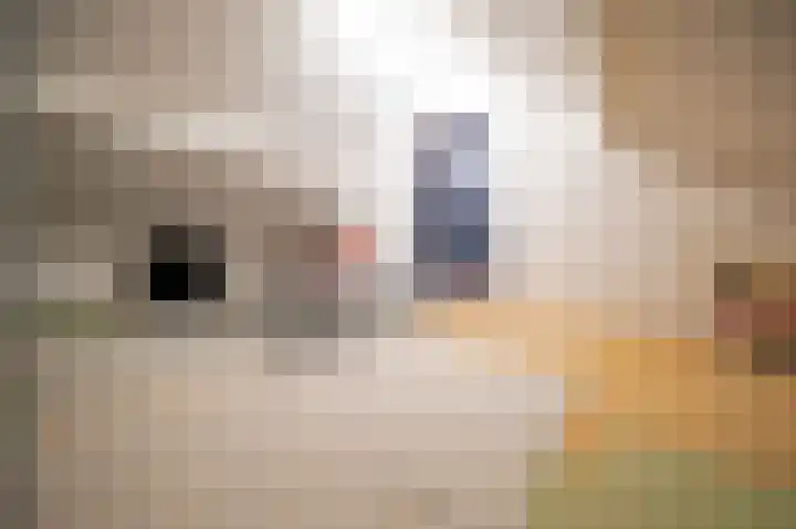 Bachlaan 10 Apeldoorn thumbnail 20
