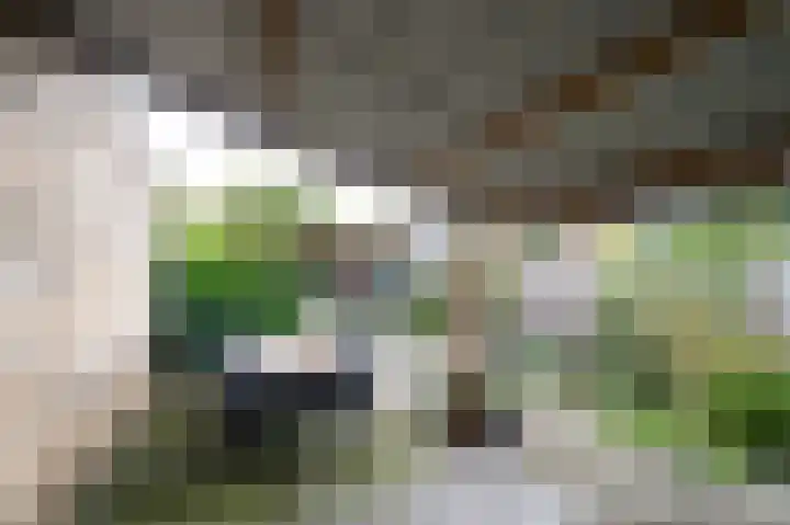 Bachlaan 10 Apeldoorn thumbnail 24