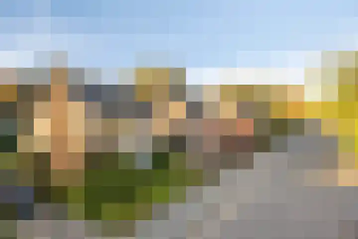 Bachlaan 10 Helmond thumbnail 8