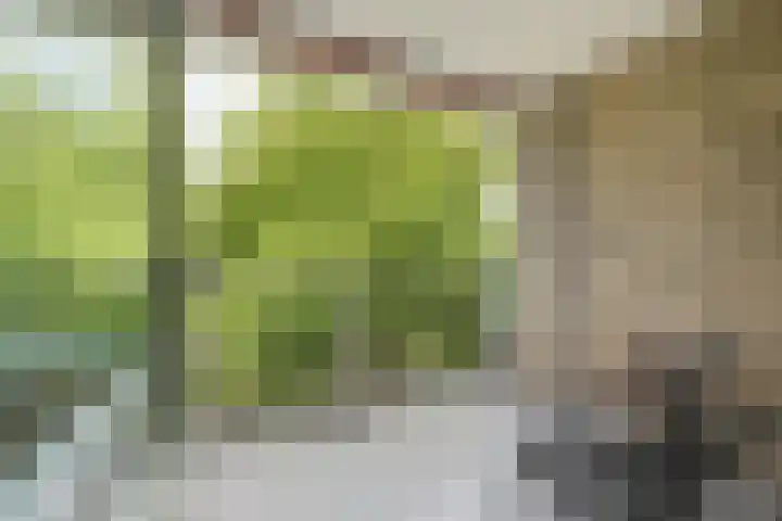Bachlaan 102 Rotterdam thumbnail 13
