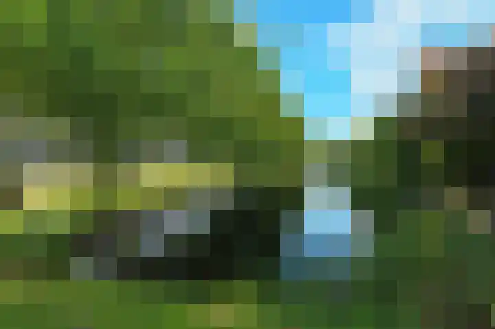 Bachlaan 11 Barendrecht thumbnail 32