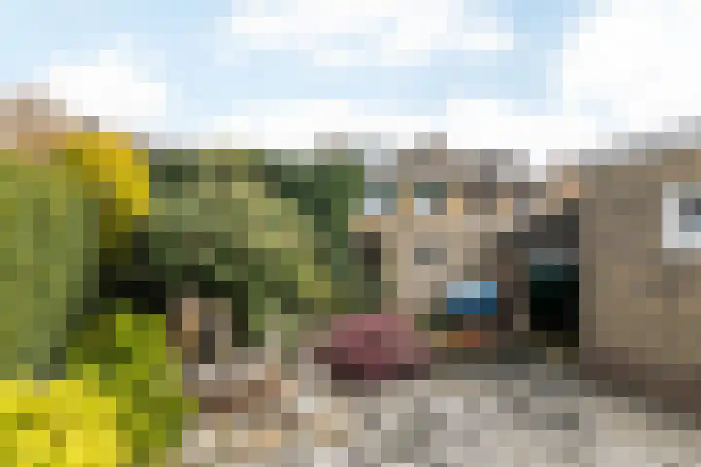 Bachlaan 12 Nuth thumbnail 22