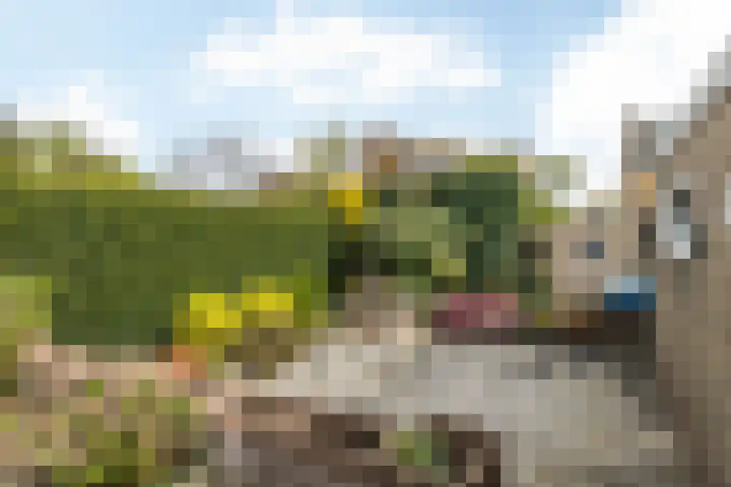 Bachlaan 12 Nuth thumbnail 23
