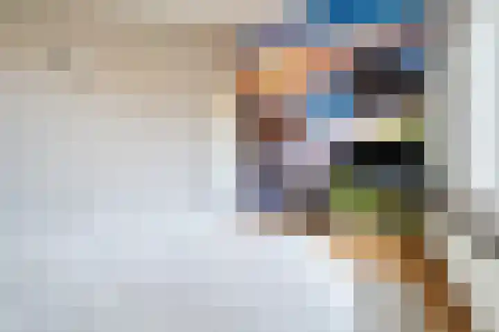 Bachlaan 12 Oud-Beijerland thumbnail 22