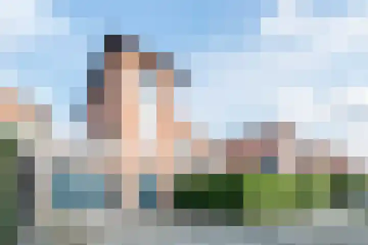 Bachlaan 12 Oud-Beijerland thumbnail 4