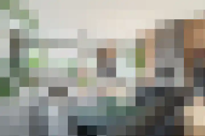Bachlaan 12 Oud-Beijerland thumbnail 8