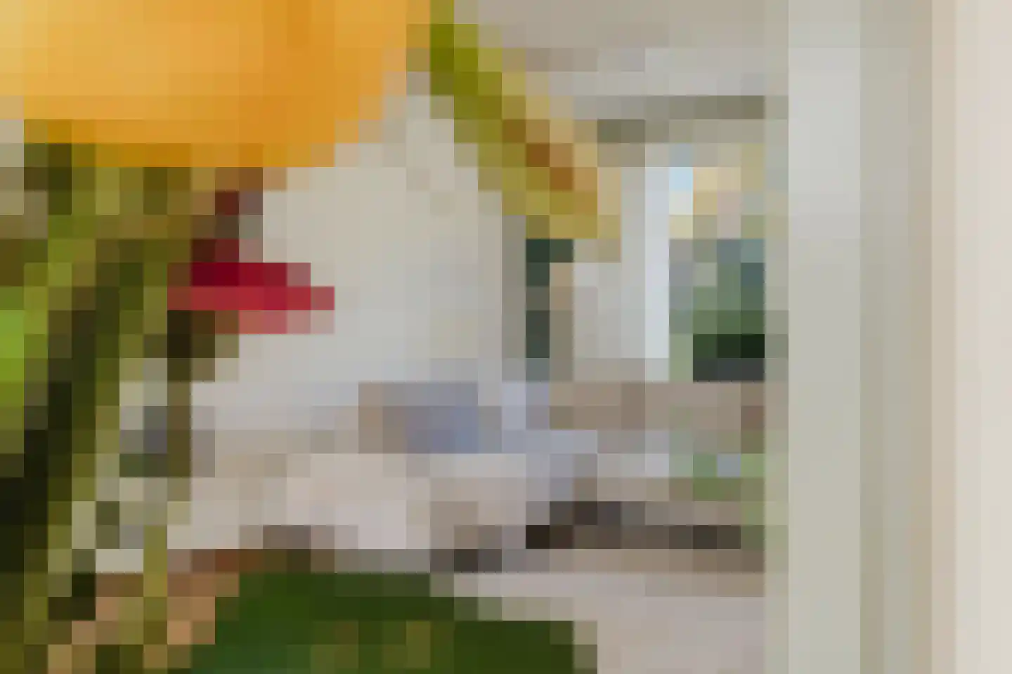 Bachlaan 12 Tilburg thumbnail 12