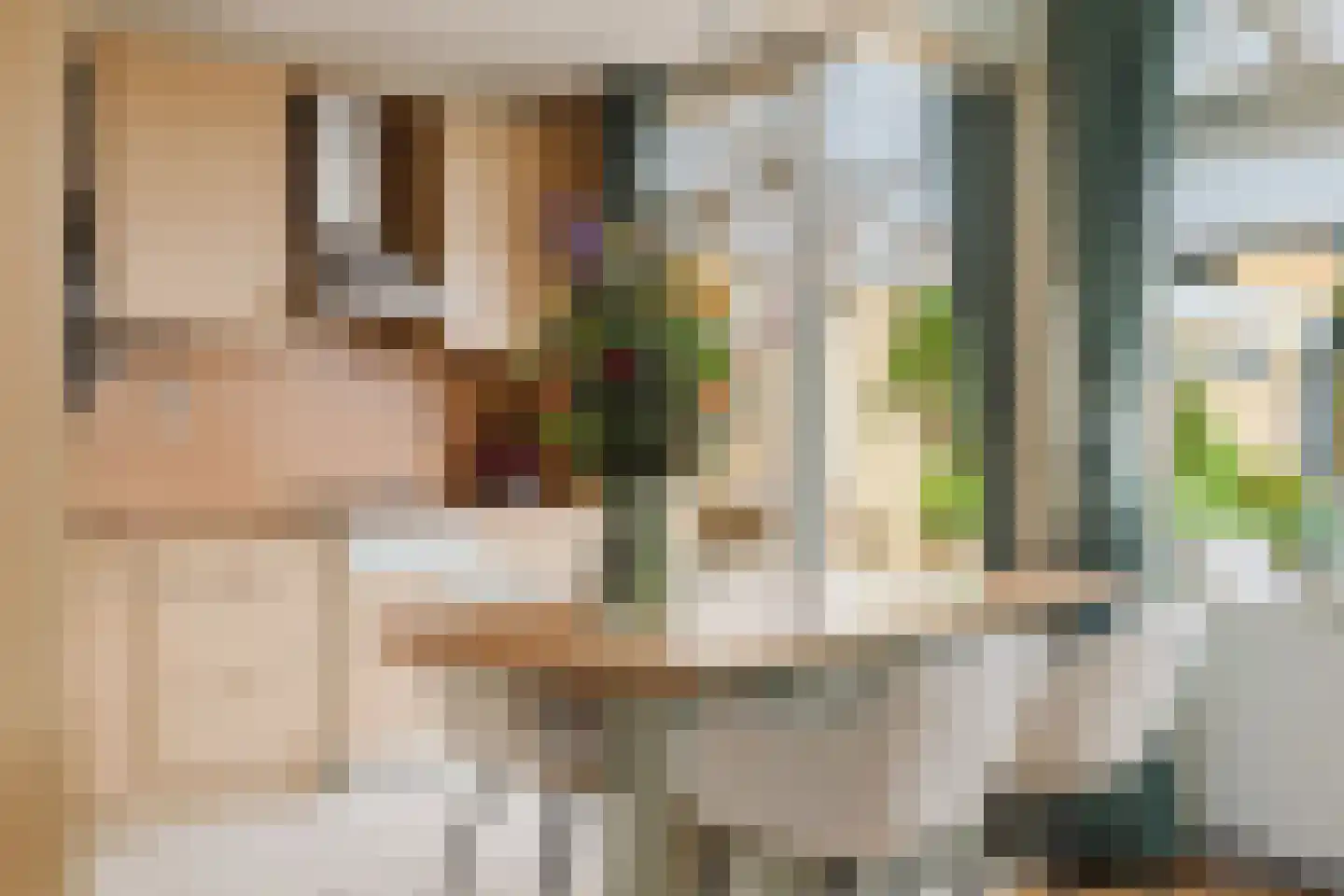 Bachlaan 12 Tilburg thumbnail 17