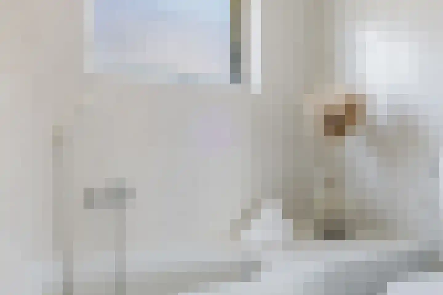 Bachlaan 12 Tilburg thumbnail 35