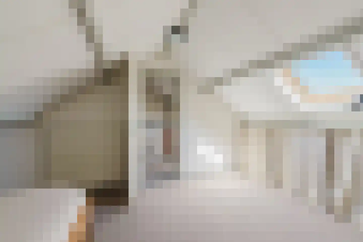 Bachlaan 12 Tilburg thumbnail 42