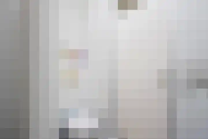 Bachlaan 12 Voorthuizen thumbnail 20