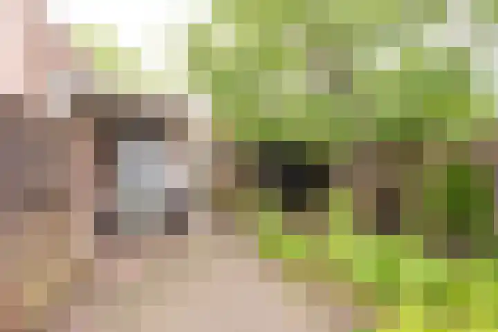 Bachlaan 12 Voorthuizen thumbnail 21