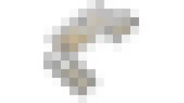 Bachlaan 12 Voorthuizen thumbnail 24