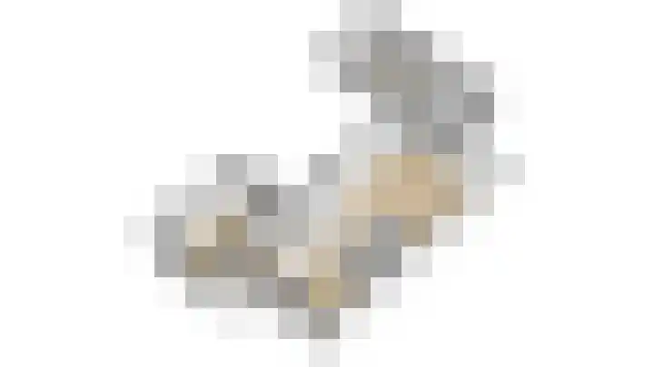 Bachlaan 12 Voorthuizen thumbnail 25