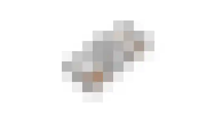 Bachlaan 12 Voorthuizen thumbnail 28