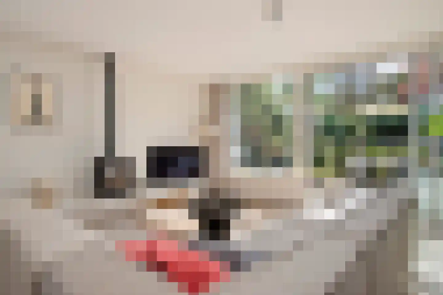 Bachlaan 120 Doorwerth thumbnail 11