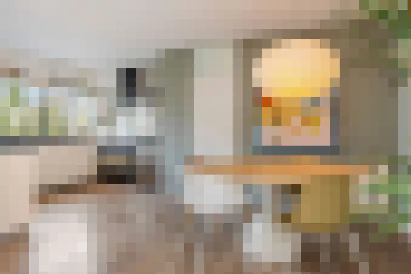 Bachlaan 120 Doorwerth thumbnail 17