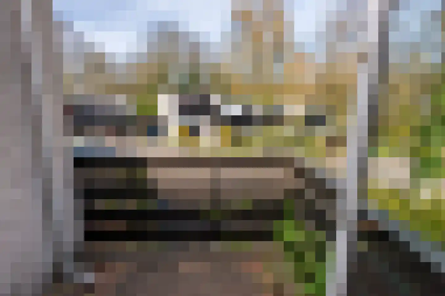 Bachlaan 120 Doorwerth thumbnail 35